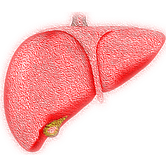 liver cancer symtoms
